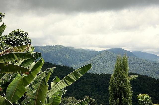 Oaxoca State countryside