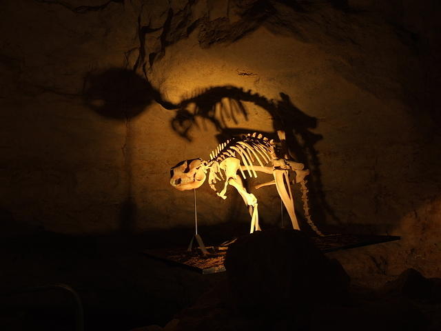 Cave Skeleton (Naracoorte, South Australia)