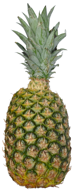 ananas